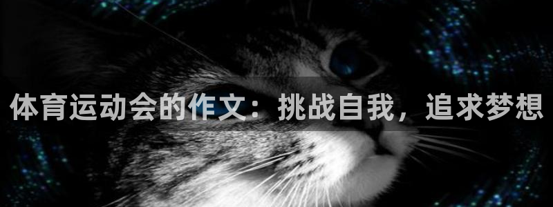 钢结构中xc是什么意思：体育运动会的作文：挑战自我，追求梦想