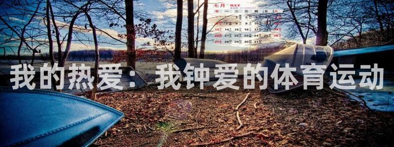 杏彩xc4登录：我的热爱：我钟爱的体育运动