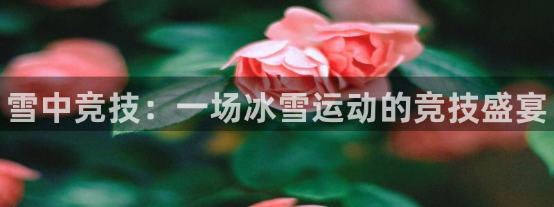 杏彩xc体育合法嘛：雪中竞技：一场冰雪运动的竞技盛宴