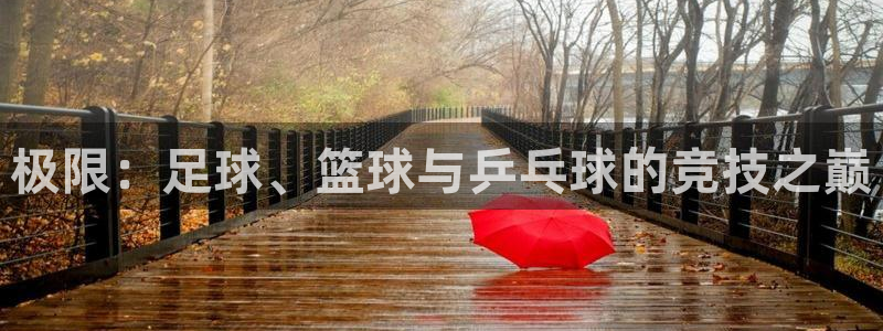 xc是什么车牌：极限：足球、篮球与乒乓球的竞技之巅
