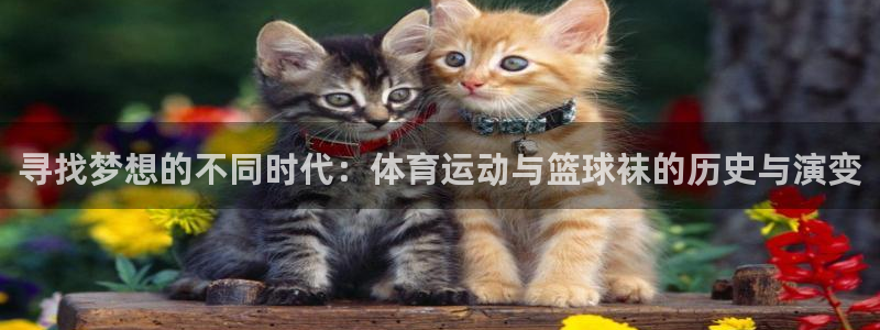 杏彩xc：寻找梦想的不同时代：体育运动与篮球袜的历史与演变