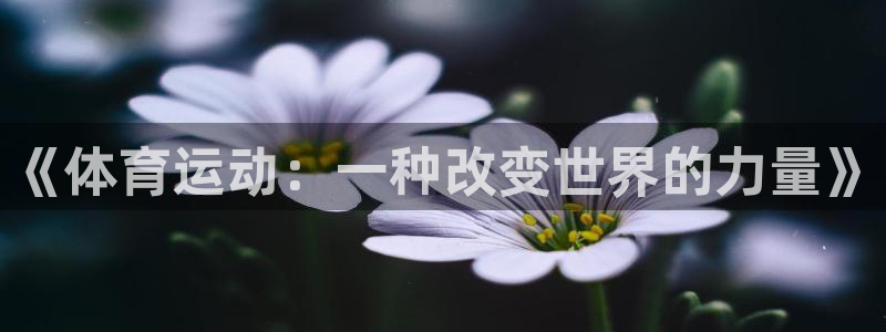 xc是什么车：《体育运动：一种改变世界的力量》