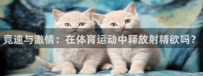 杏彩体育app下载：竞速与激情：在体育运动中释放射精欲吗？