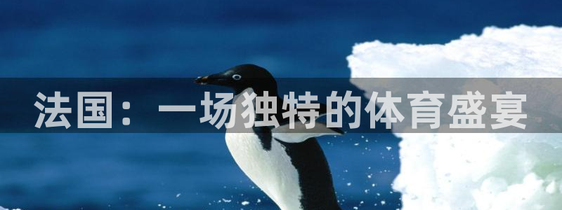 7xx.xc：法国：一场独特的体育盛宴