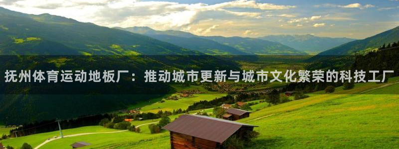 xcj127c：抚州体育运动地板厂：推动城市更新与城市文化繁荣的科技工厂