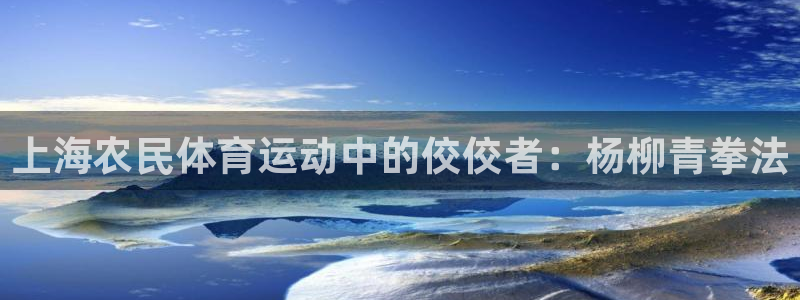 杏彩官网注册地址：上海农民体育运动中的佼佼者：杨柳青拳法