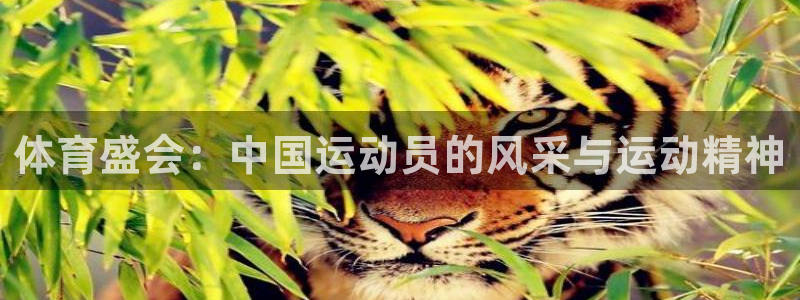 钢结构xc表示什么