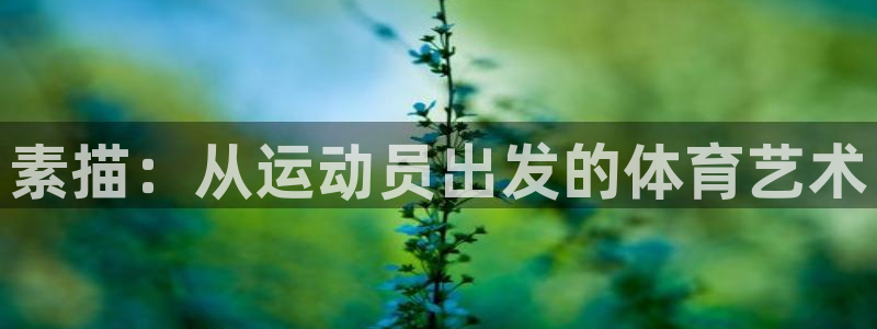 佛山市南海杏彩xc机电仪器有限公司：素描：从运动员出发的体育艺术