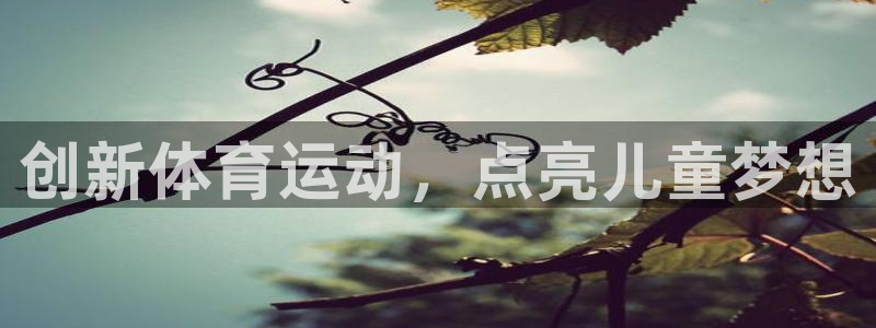 xc网络意思