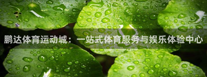 杏彩网址：鹏达体育运动城：一站式体育服务与娱乐体验中心