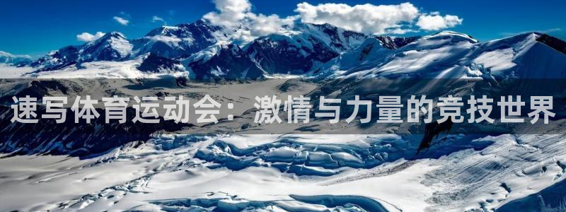 xc60 xc90：速写体育运动会：激情与力量的竞技世界