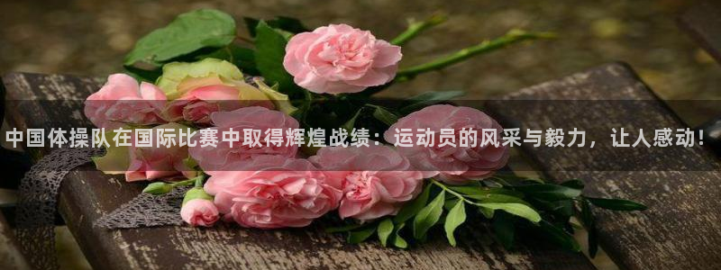 xc7212007：中国体操队在国际比赛中取得辉煌战绩：运动员的风采与毅力，让人