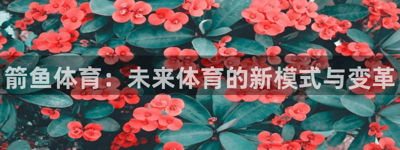 沃尔沃xc90档位：箭鱼体育：未来体育的新模式与变革