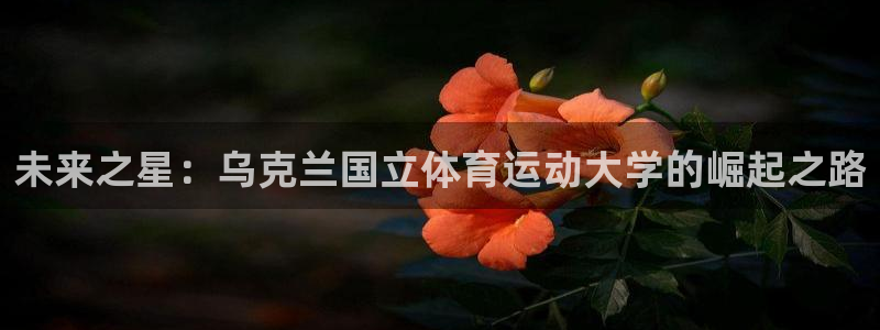 xc是谁