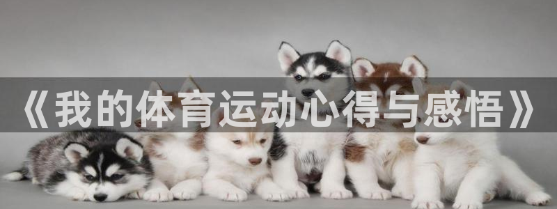 杏彩xc3登录：《我的体育运动心得与感悟》